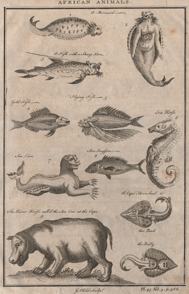 AFRICAN ANIMALS Mermaid Sea lion River horse (Hippo) Fish with sharp horn 1746